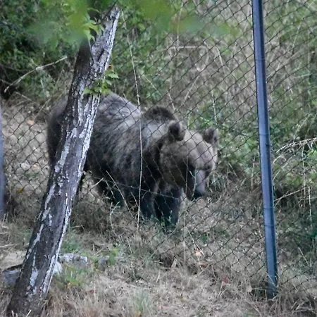 Casavacanza Al Castello 2 *