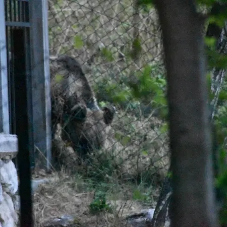 Casavacanza Al Castello 2