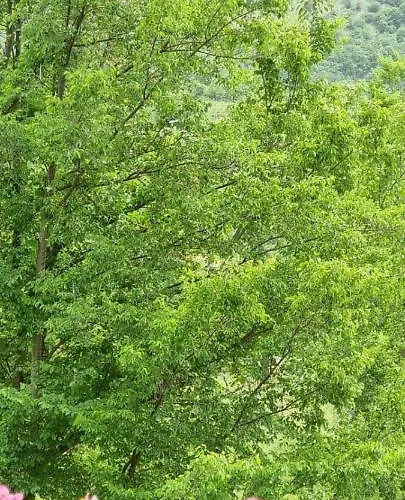 Casavacanza Al Castello 2 * Villetta Barrea