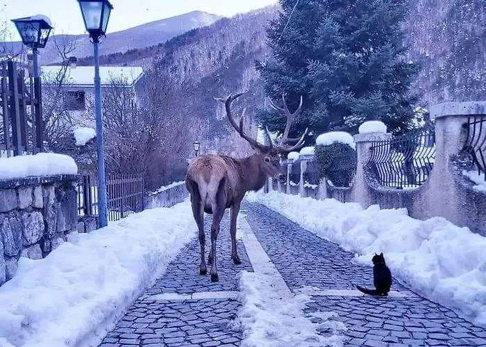 Casavacanza Al Castello 2 Prázdninový dům Villetta Barrea