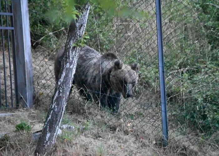 Casavacanza Al Castello 2 *