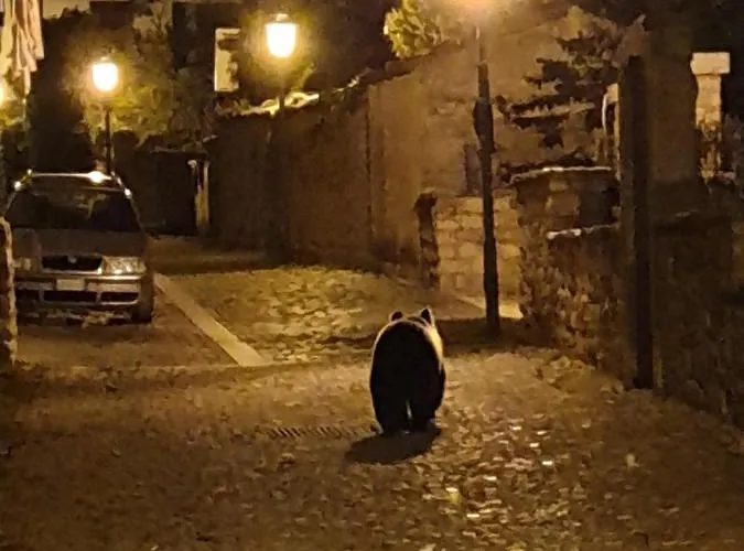 Casavacanza Al Castello 2 * Villetta Barrea